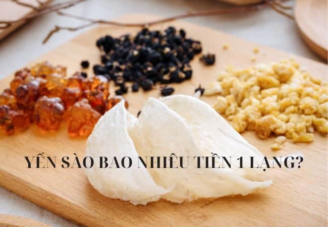 1 lạng yến bao nhiêu tiền 1 lạng yến bao nhiêu tiền 1