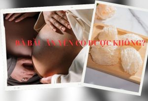 bà bầu ăn yến được không 1