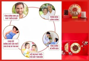 đối tượng sử dụng yến sào 1