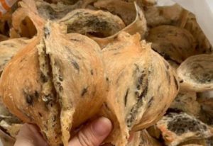 Hồng Yến là gì cách nhận biết và công dụng 1